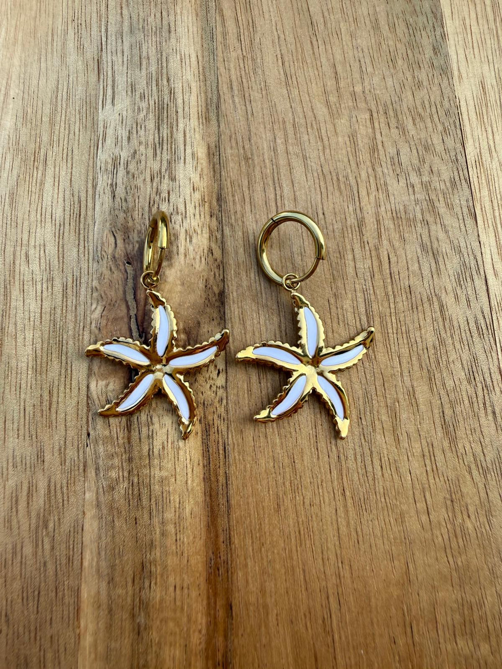 Boucles d’oreilles LÉO