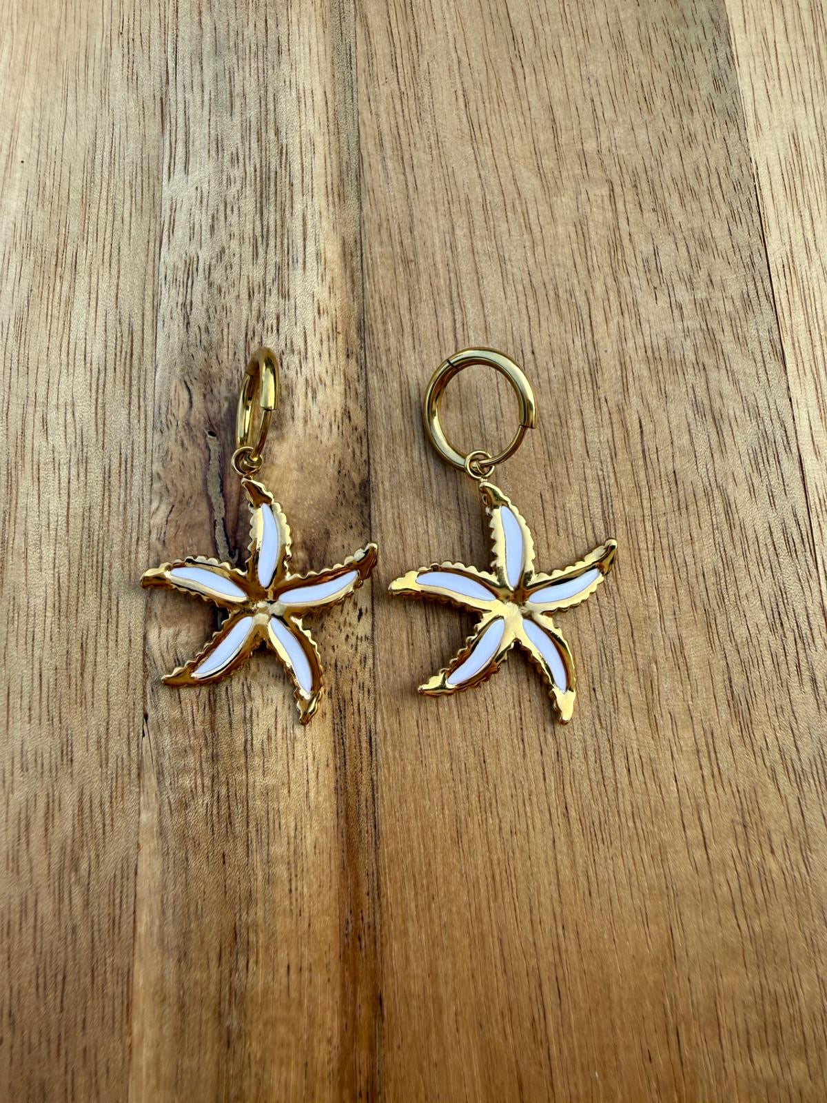 Boucles d’oreilles LÉO